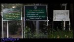 ورود ساز به پارکها آزاد شد